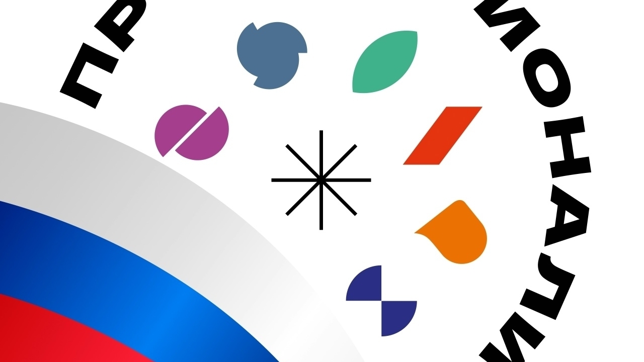 Проект «Профессионалитет»